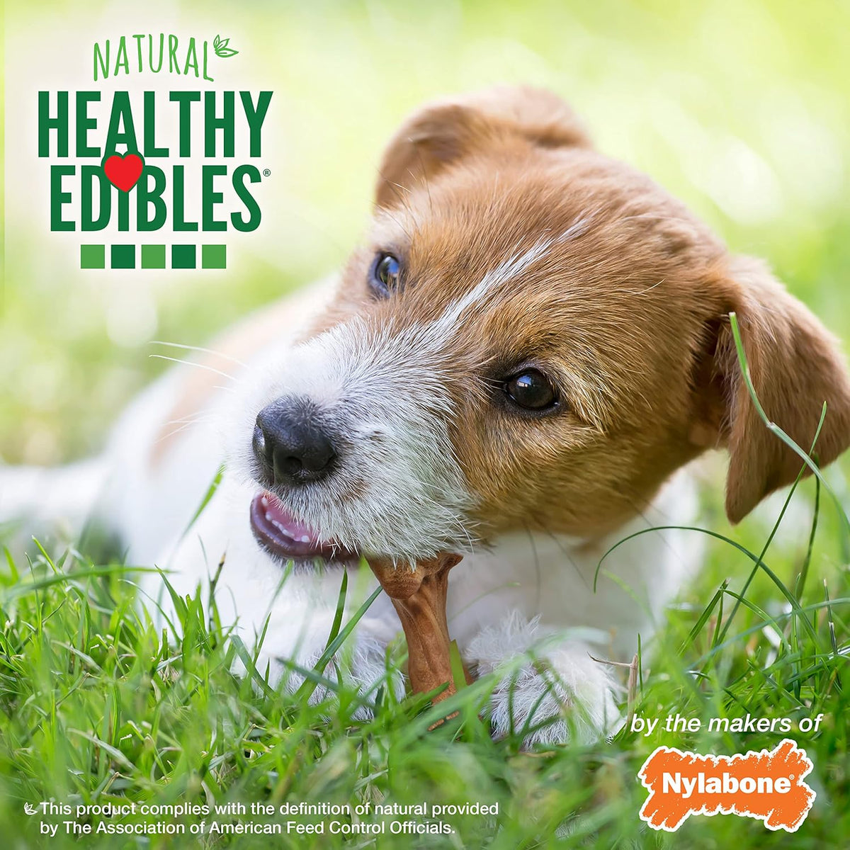 Nylabone Healthy Edibles WILD Natural Dog Chew Treats, Bison Flavor, Small Dogs Up to 20 lbs - Long Lasting Healthy Chew Bones Made in USA (8 Count)