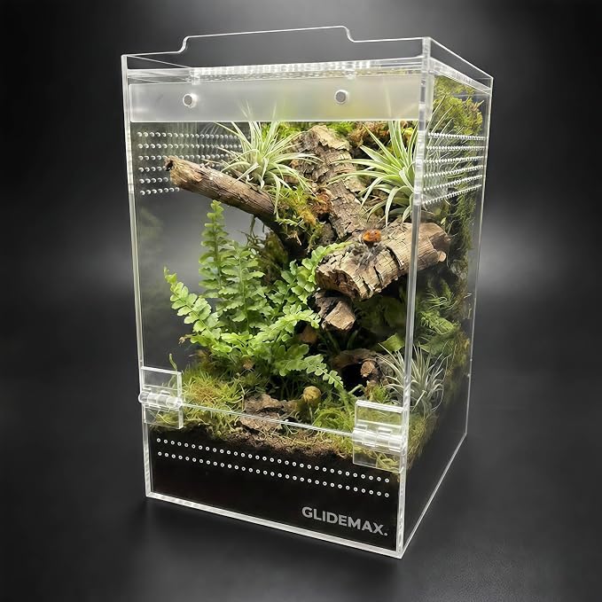 Jumping Spider Enclosure, Acrylic Tarantula Enclosure, 6x6x9 Inch Insect Terrarium with 2 Magnetic Doors, Pre-Assembled Reptile Habitat for Gecko, Mantis, Snail, Lizard, Frog, Hermit Crab, Hatchlings