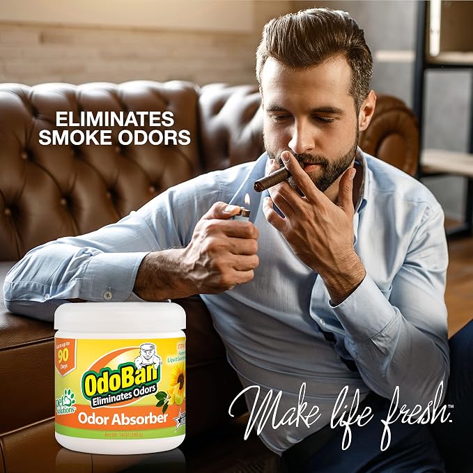 OdoBan Solid Odor Absorber Eliminator for Home and Small Spaces, Citrus Scent, 14 Ounces Each, 12-Pack