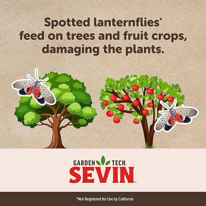 Sevin Insect Killer RTS 32 oz