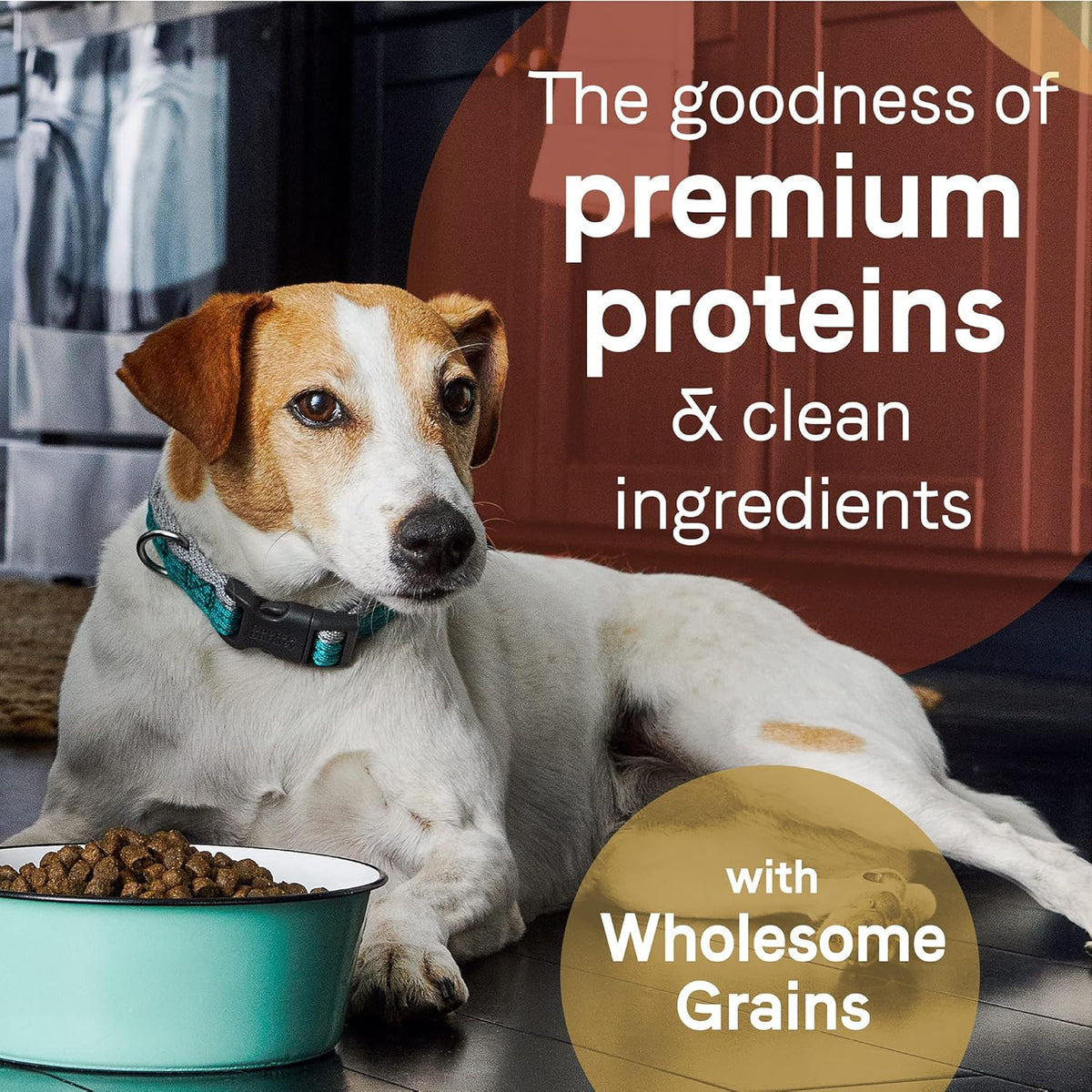 CANIDAE Pure Limited Ingredient Premium Adult Dry Dog Food, Real Beef & Barley Recipe, 4 lbs, with Wholesome Grains