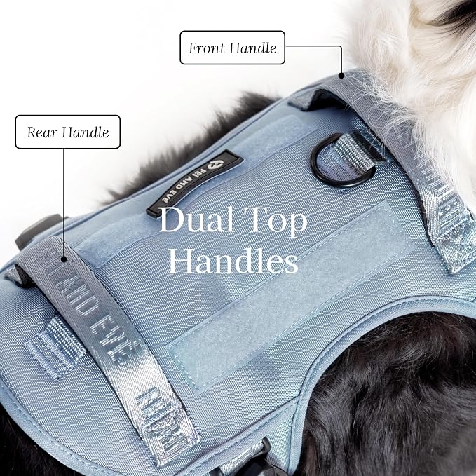 Fei & Eve Classic Dog Harness, MagEase Magnetic Buckle | 3-Point No-Pull Control, Dual Handle Support, 900D Nylon, Tactical Patch Panel, Heavy Duty, Medium, Blue