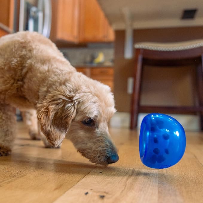 Outward Hound by Planet Dog Lil' Snoop Dog Toy – Treat‑Dispenser Puzzle Ball, Interactive Slow Feeder, Small to Medium Dogs, Bouncy & Mint-Infused, Blue, 3.9"