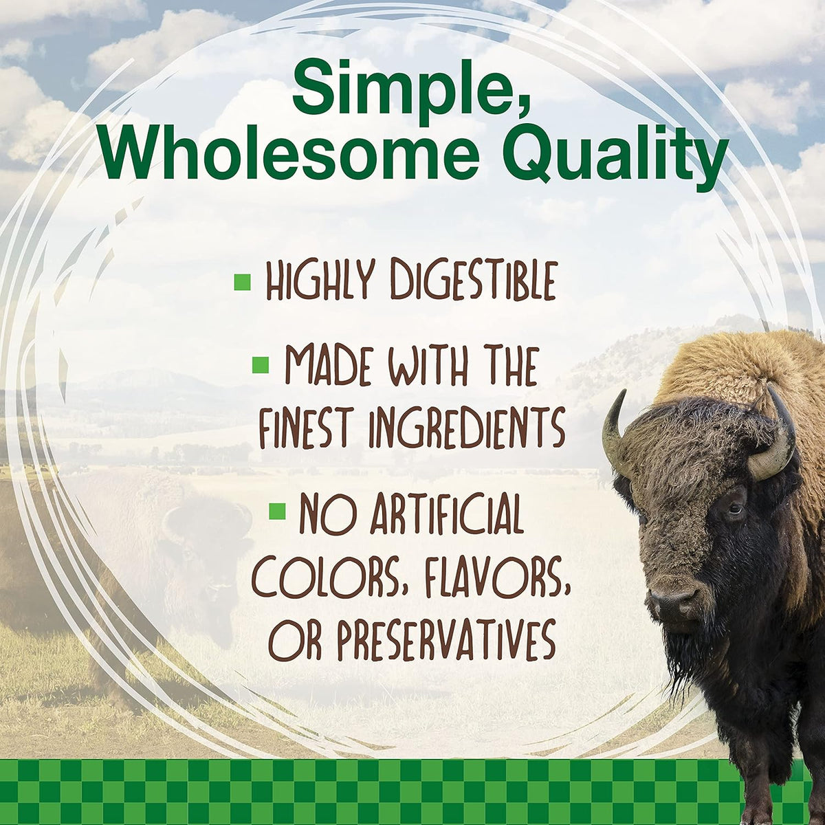Nylabone Healthy Edibles WILD Natural Longer-Lasting Chew Treats, Bison Flavor, Large Dogs Up to 50 lbs - Made in USA (1 Count)