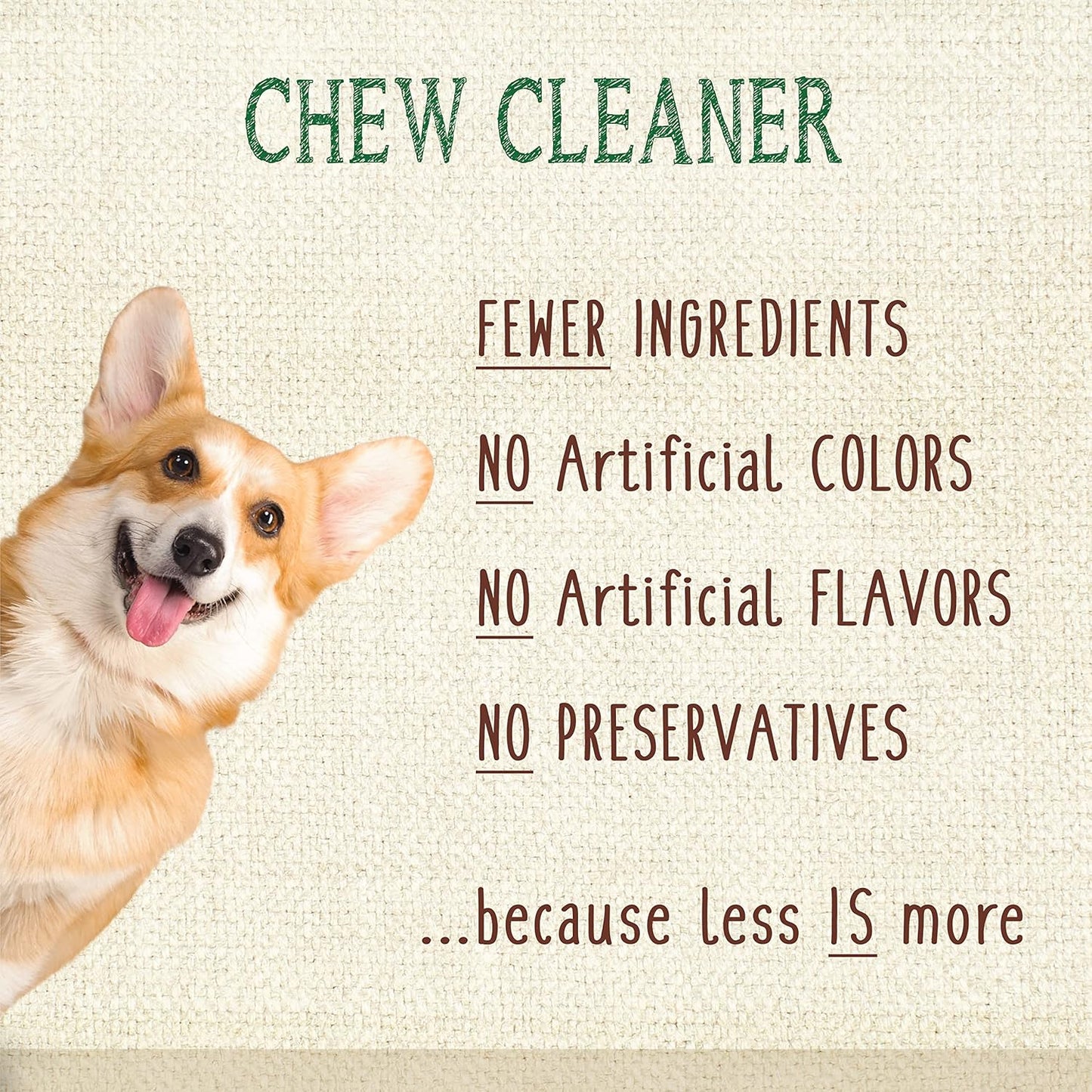 Nylabone Nutri Dent Dog Dental Chews, Natural Teeth Cleaning Treats & Breath Freshener for Dogs, Fresh Mint Flavor, Mini (78 Count)