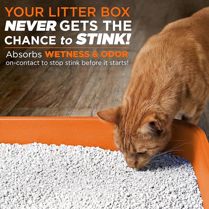 Pooph Litterizer – 16oz Bottle – Absorbs 46x Weight In Wetness & Odor – Keeps Litter Dry, Reduces Mess, Reduce Litter Costs And Get A Stink-Free Litter Box – Without Fragrances Or Harsh Chemicals
