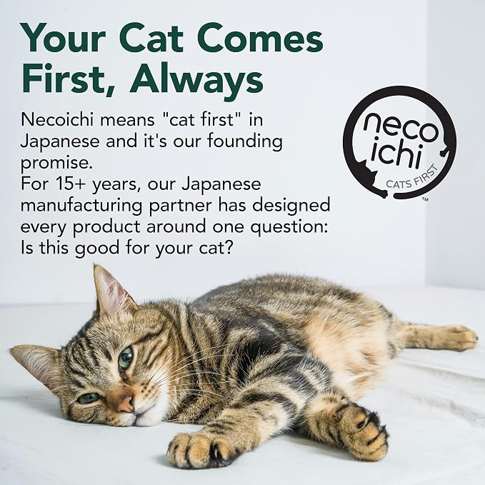 Necoichi Cardboard Cat Scratcher Bed for Indoor Cats - Cat Scratching Board, Horizontal Cat Scratch Pad Lounger with Reversible Usability and Extra Comfort for Lounge, Curved (18" Medium, Dark Cherry)