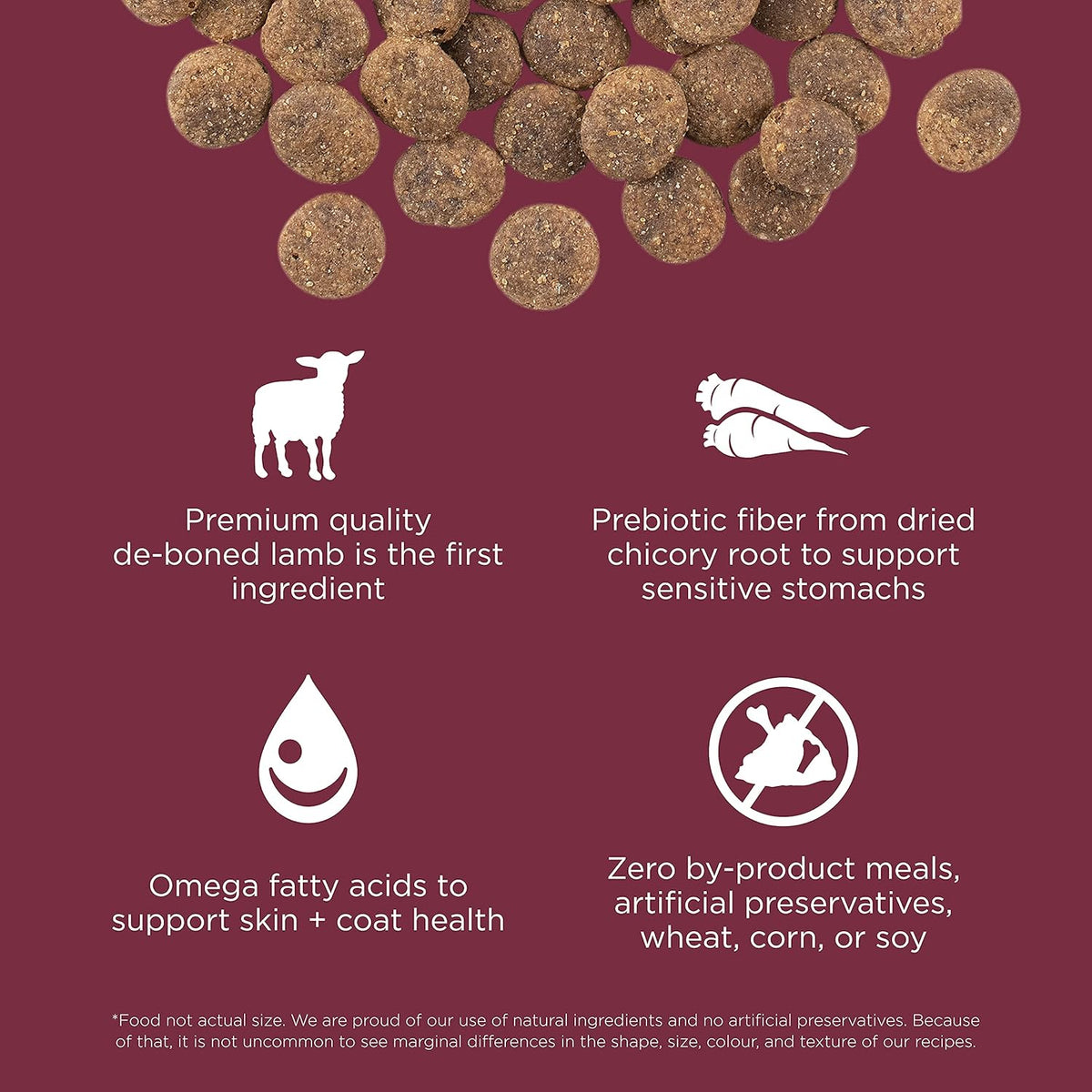 Go! Solutions Sensitivities Limited Ingredients, Grain-Free Dry Dog Food, Lamb Recipe for Sensitive Stomach, 12 lb Bag