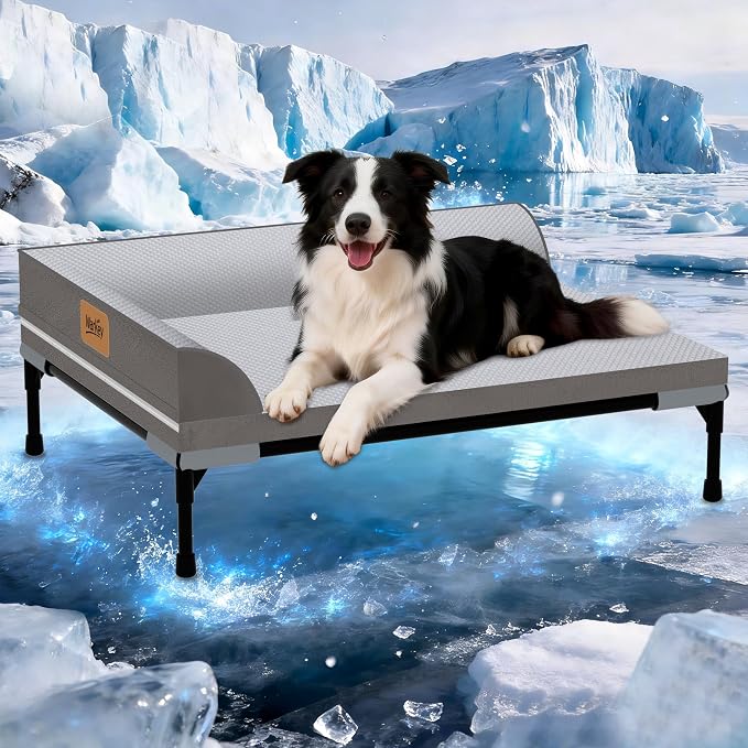 Elevated Cooling Dog Bed, Orthopedic Pet Bed for Extra Large Dogs, Removable Washable Cover, Indoor & Outdoor Raised Pet Cot with Breathable Mesh, Size: 49"*33"*9"
