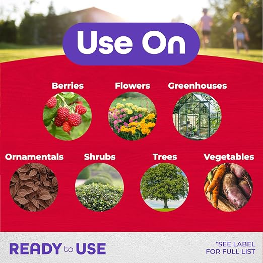 Bonide Insecticidal Soap, 32 oz Ready-to-Use Spray Multi-Purpose Insect Control for Organic Gardening Indoor and Outdoor