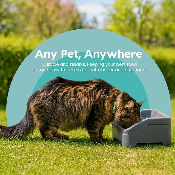 IRIS USA Elevated Pet Feeding Station, Adjustable, Double Bowls, Gray | Made in USA, Feeding Trough, Removable Double Food and Water Bowls, Easy Clean Design, Indoor Pet Feeding System