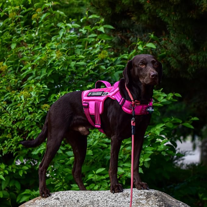 Dog Harness Medium Sized Dog, No Pull Dog Vest with Molle System | Tactical, Easy Control With Handle, Breathable Soft Padded, Adjustable, Reflective, No Choke for Walking, Pink Medium