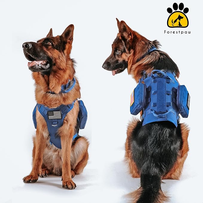 Forestpaw Tactical Dog Harness Collar Bungee Leash Set,L,Blue | Adjustable Fits 27-40" Chest,70-140 lbs,No Pull Control Military,Quick Release Buckle,Walking Training for Medium Large Dogs