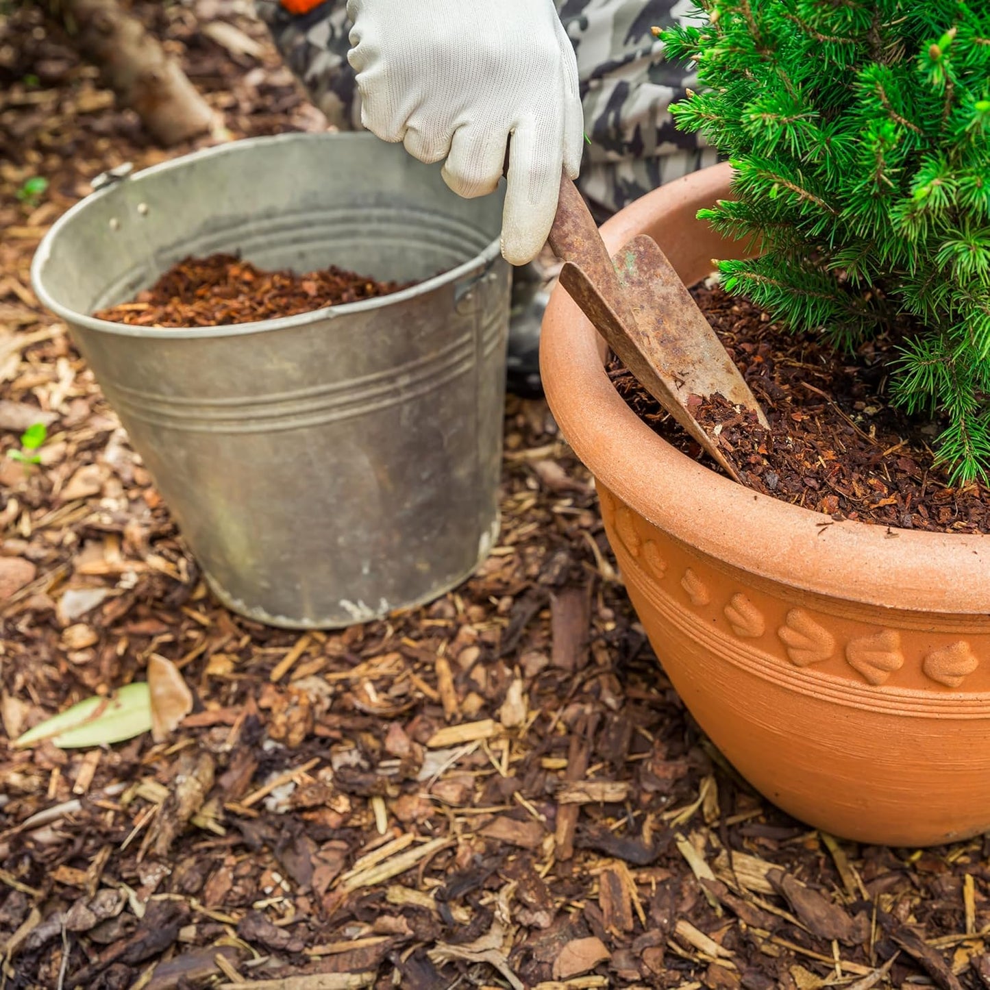 Premium Eucalyptus Wood Mulch for Indoor, Patio, Potting Media, Gardens, Lawns, and Landscaping (0.7 CF - 20 L - 21 QTS)