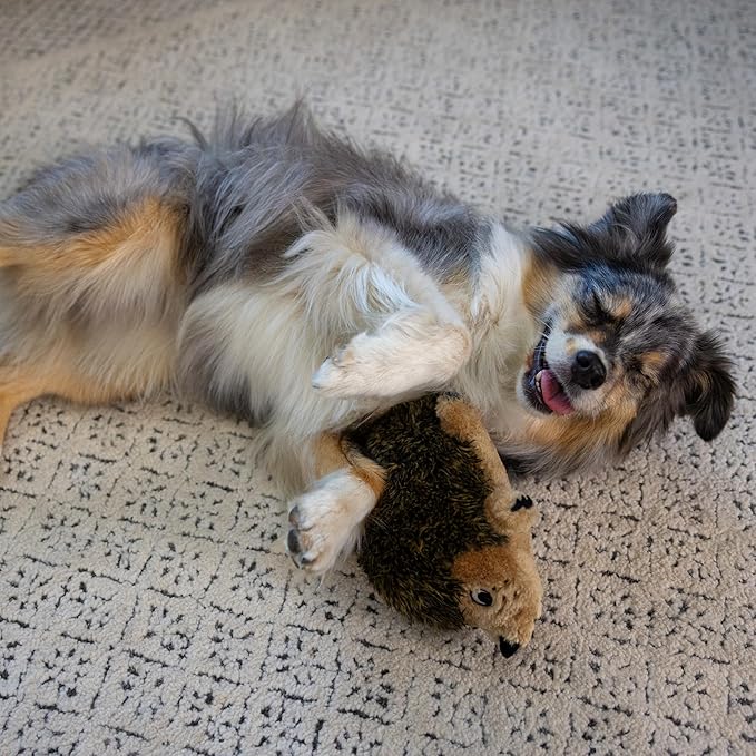 Outward Hound Hedgehogz Stuffed Dog Toy – Soft Plush Hedgehog, Grunts & Squeaks, Medium, 9" x 5" x 6.5"