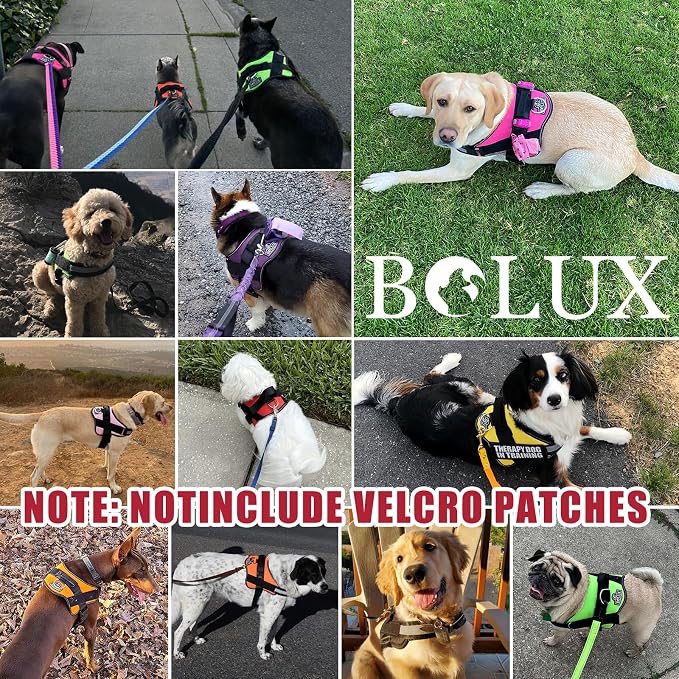 Dog Harness, No-Pull Reflective Dog Vest, Breathable Adjustable Pet Harness with Handle for Outdoor Walking - No More Pulling, Tugging or Choking (Flag, X-Large)