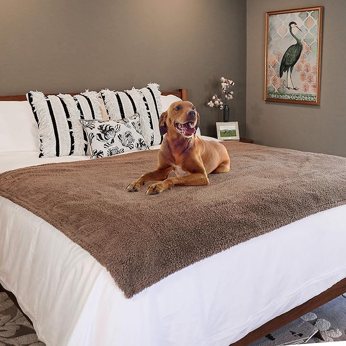 rocket & rex Extra Large Waterproof Dog Blanket, Brown Washable Waterproof Pet Blanket Protects Beds, Couches & Other Furniture, Premium Fleece Fabric with Reversible Faux Suede, 56" x 73" (Pack of 1)