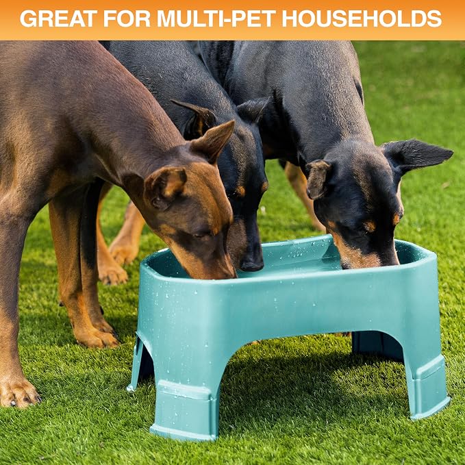 Neater Pet Brands Extra Large Water Bowl for Dogs, Elevated Outdoor Dog Water Bowl (2.25 Gallon XL Capacity), Big Trough Style Food Dish for Indoors or Outside, No Spill Large Dog Bowls, Aquamarine