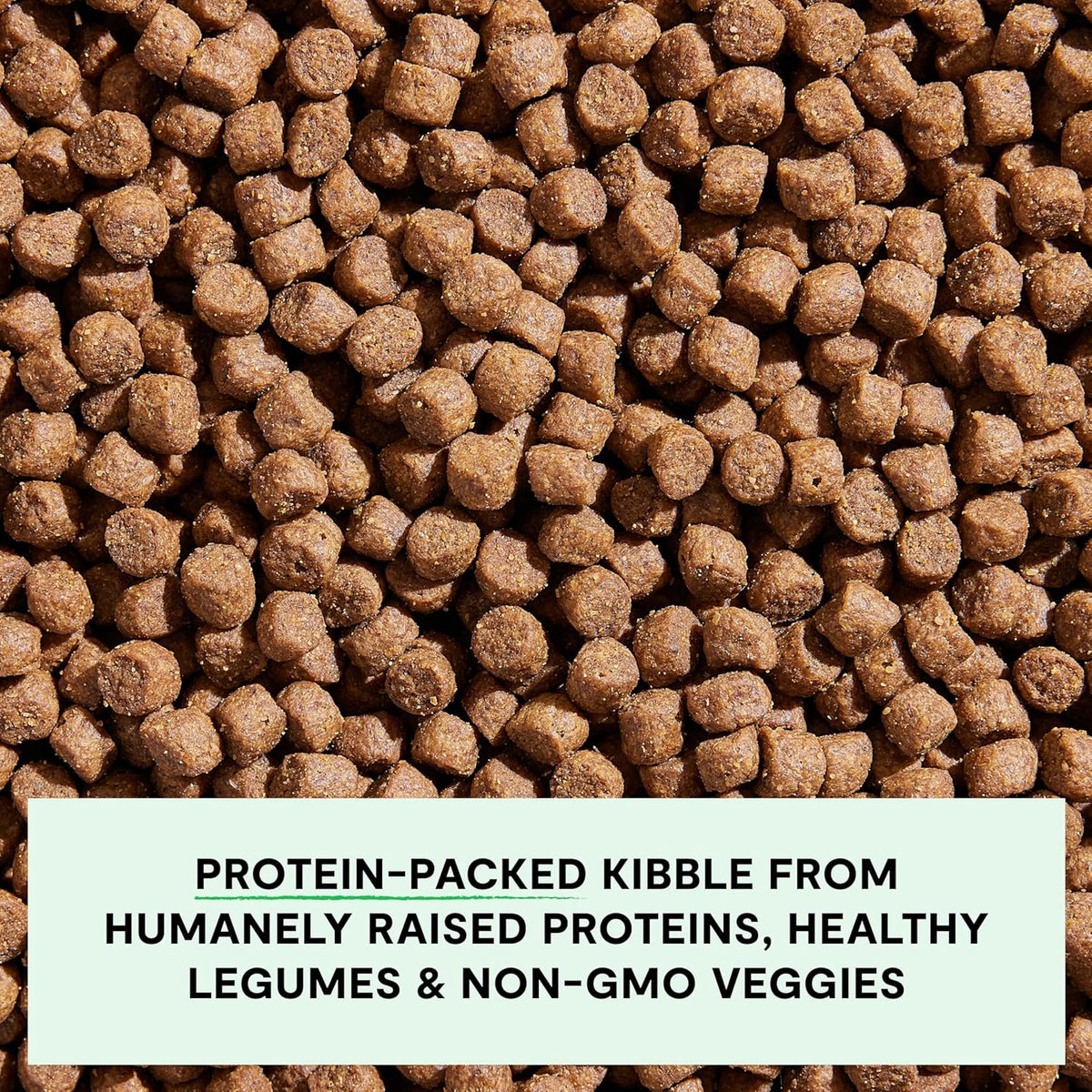 Open Farm, Grain-Free Dry Dog Food, Complete & Balanced Kibble, Sustainably & Ethically Sourced Ingredients, Non-GMO Veggies & Superfoods Support Overall Health, Pasture Raised Lamb Recipe, 4lb Bag