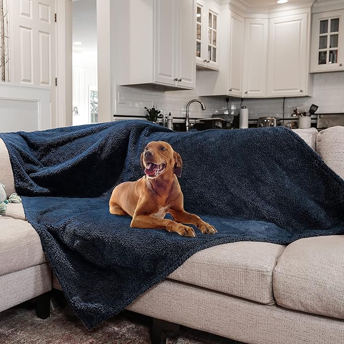 rocket & rex Extra Large Waterproof Dog Blanket, Blue, Washable Waterproof Pet Blanket Protects Beds, Couches & Other Furniture, Premium Fleece Fabric with Reversible Faux Suede, 56" x 73" (Pack of 1)
