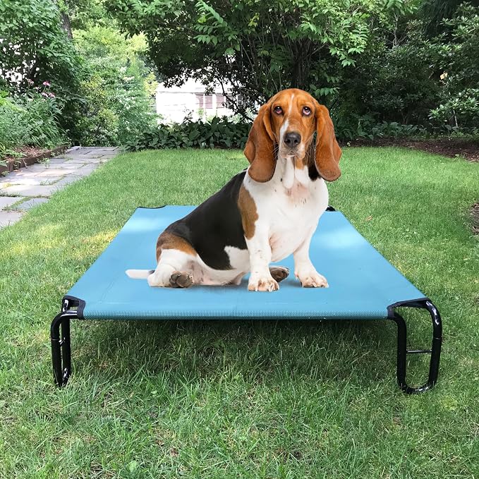 Elevated Dog Bed, 35 x 28 x 8 inches (Small, Green)
