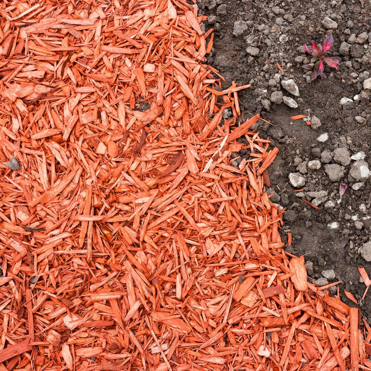 Premium Red Wood Mulch for Indoor, Patio, Potting Media, Gardens, Lawns, and Landscaping (2 CF - 56 L - 59 QTS)